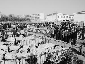 宁夏回族人口_宁夏首个回族穆斯林人口文化宣传教育基地在中华回乡文化园揭(3)