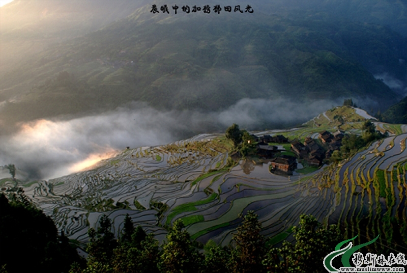 加榜梯田