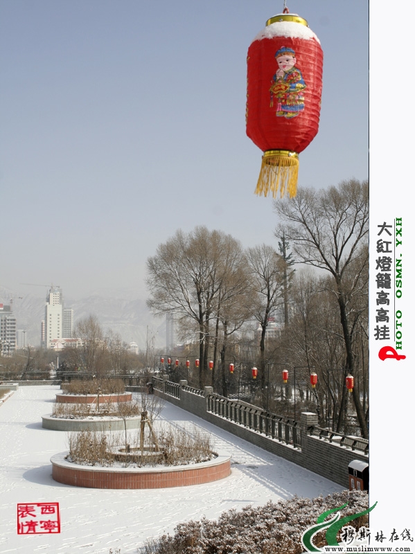 大红灯笼高高挂  冶晓辉摄