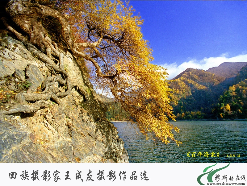 王成友风光摄影