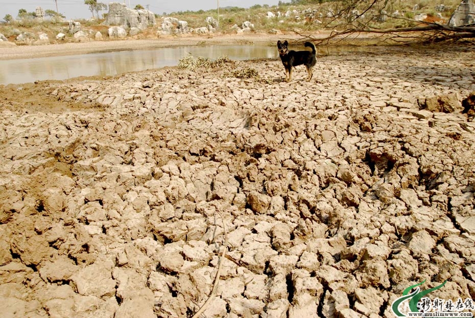 中国西南地区干旱 2000多万人饮水困难