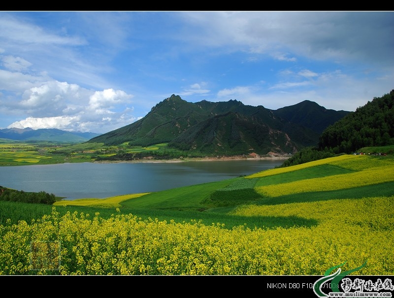 魅力南门峡