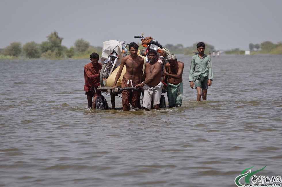 巴基斯坦严重洪灾 730万人受影响