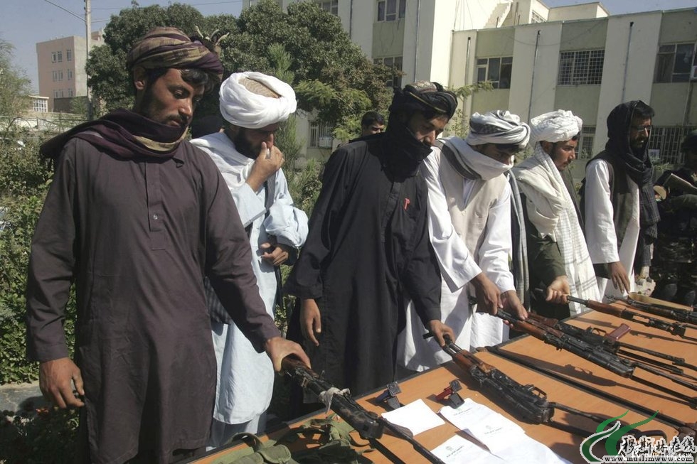 阿富汗塔利班武装分子向政府投降