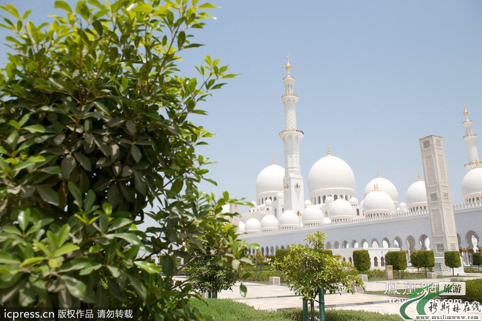 游览谢赫扎伊德清真寺 体验寺院的别样奢华