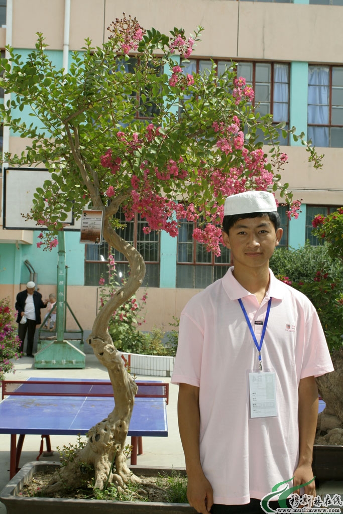 阳光志愿者