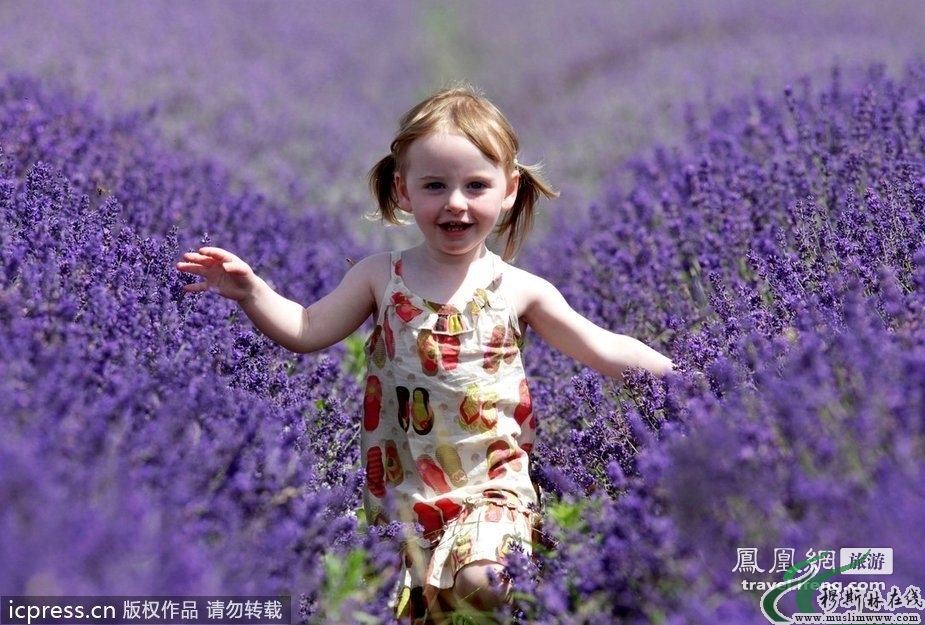 探访保加利亚顶级薰衣草种植园 农活也可以很浪漫