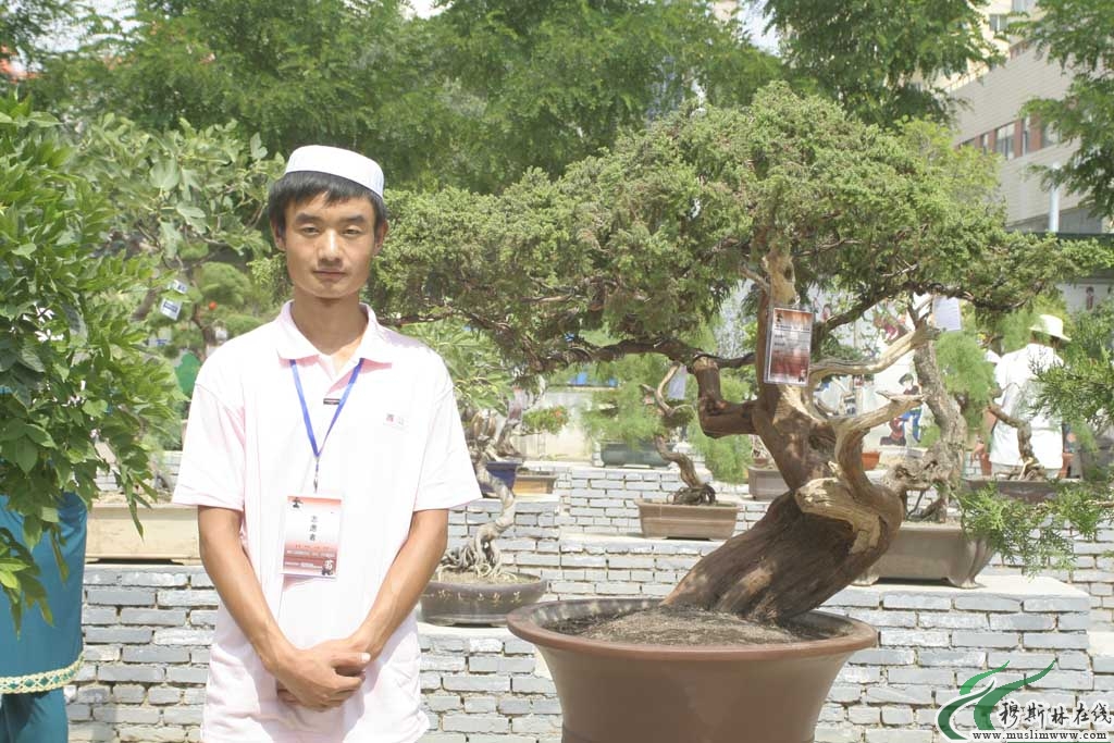 别样的年华