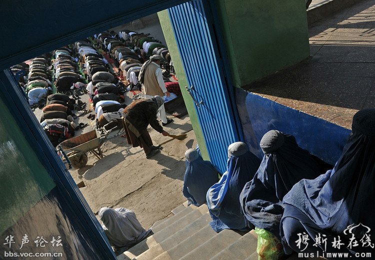 阿富汗妇女们在清真寺等待宰牲节祈祷仪式。 