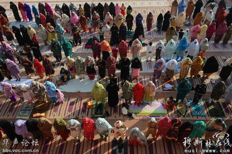 巴基斯坦穆斯林妇女们在祈祷 