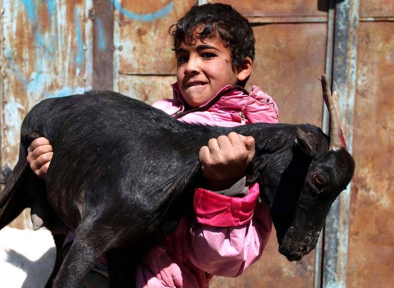 当地时间2012年10月23日，也门萨那，宰牲节将至，小男孩抱着一只羊。(图片署名：MOHAMMED HUWAIS / 东方IC)