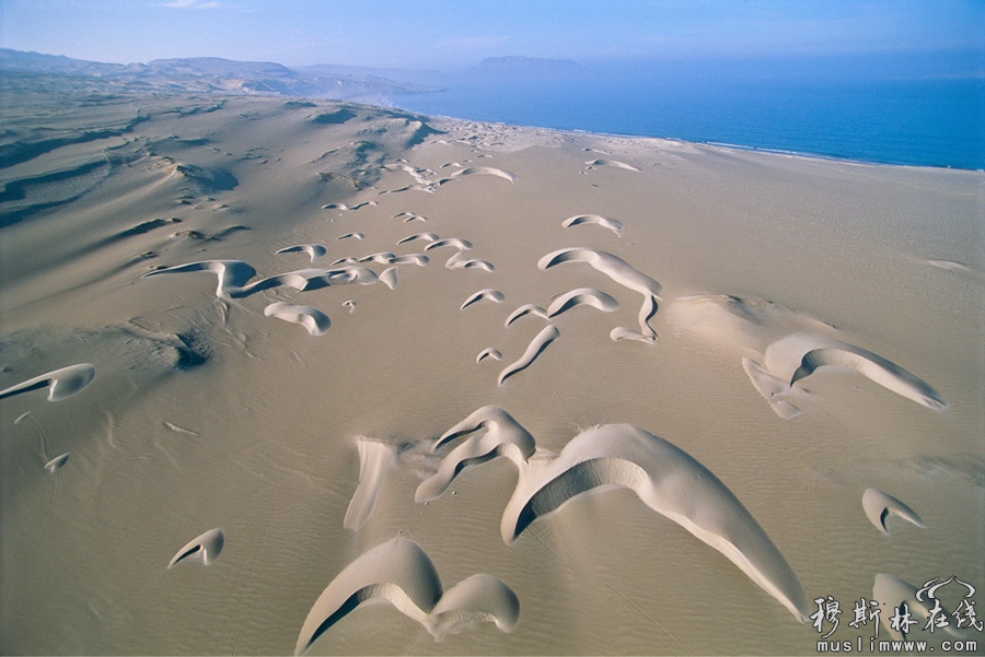 秘鲁，帕拉卡斯国家公园，新月形沙丘。乔治·斯坦梅茨摄于1999年。图片来源：环球网