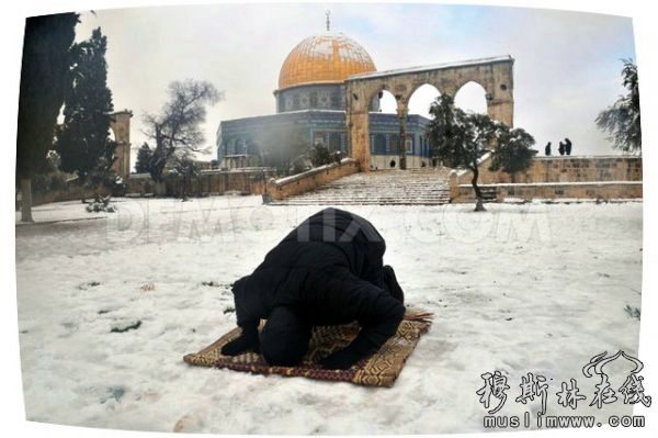 在中东罕见的一场大雪覆盖了阿克萨清真寺，20年来首场大雪。