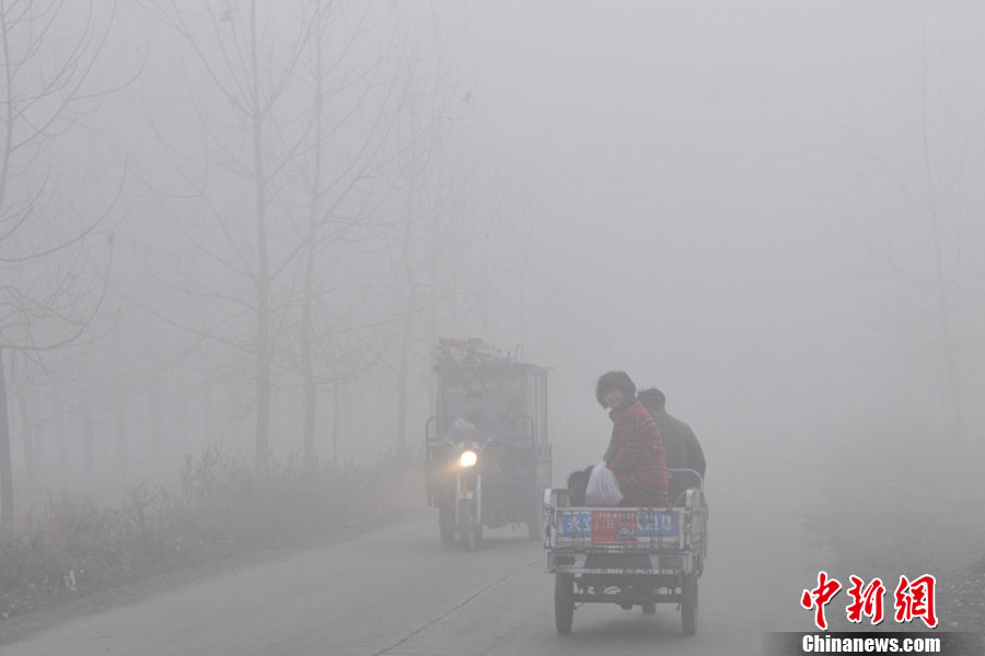 2012年11月27日，安徽省毫州市涡阳县曹市镇，车辆在雾中行驶。黄世鹏 摄 图片来源：东方IC 