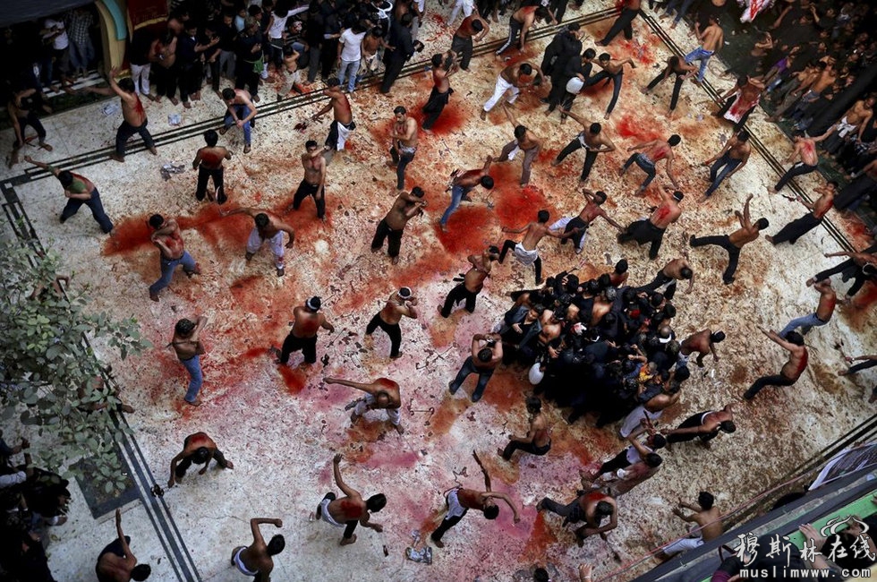 当地时间2012年11月25日，印度新德里，什叶派们相互鞭打，庆祝传统阿舒拉节。