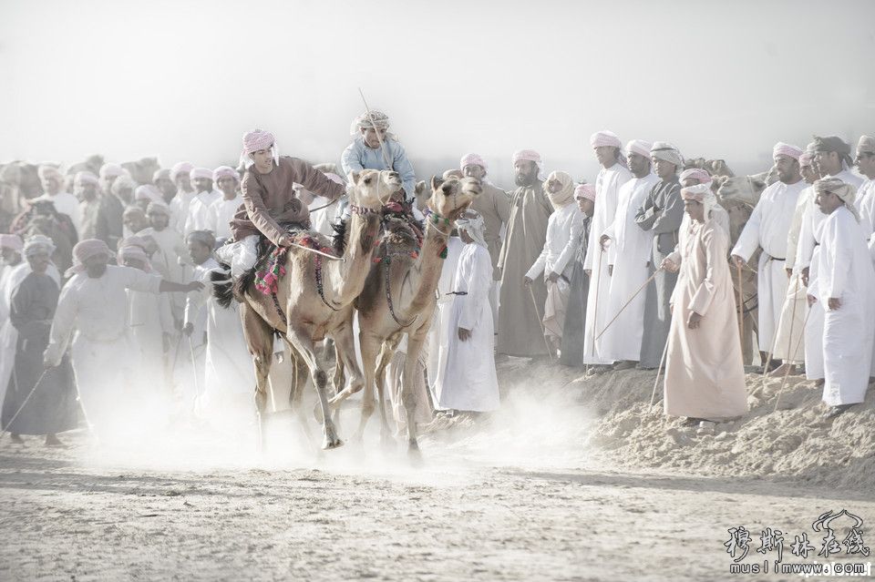 camel racingsaeed alkhasouniuae （阿联酋）