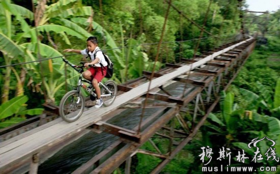 世界各地学生的危险上学路