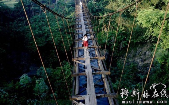 世界各地学生的危险上学路