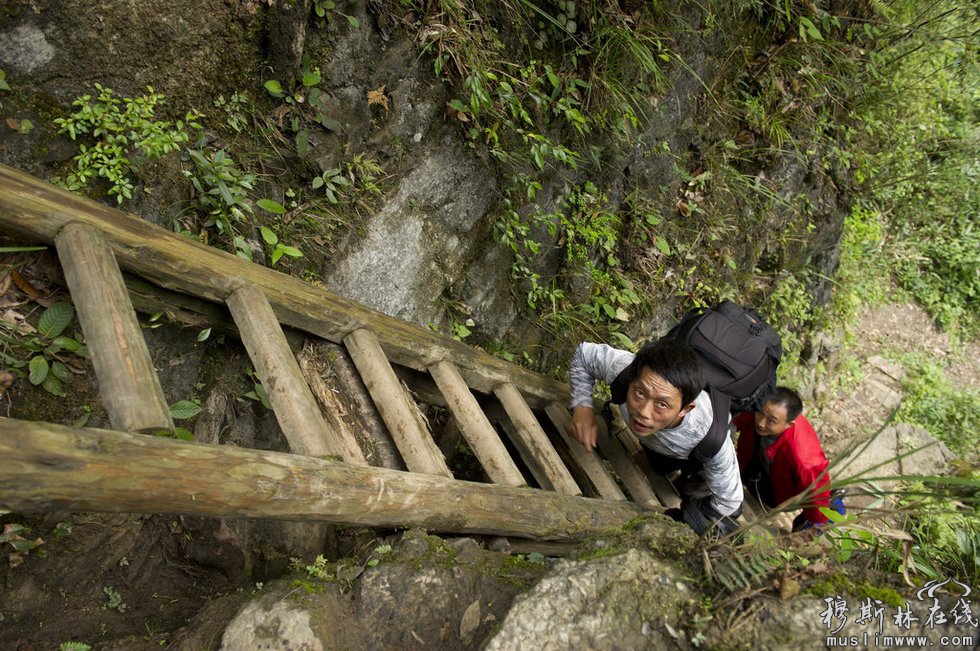 湖南一山村儿童每天需攀爬垂直天梯上学