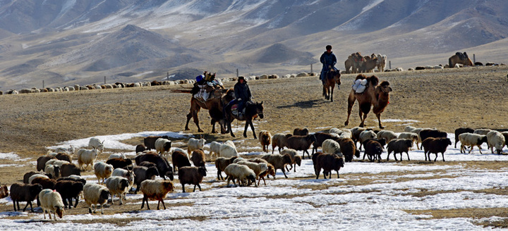 马背上的民族--哈萨克转场。伊犁清风摄