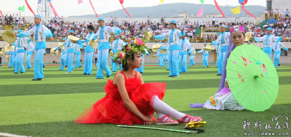 张家川回族自治县成立60周年庆祝大会隆重举行（高清组图）