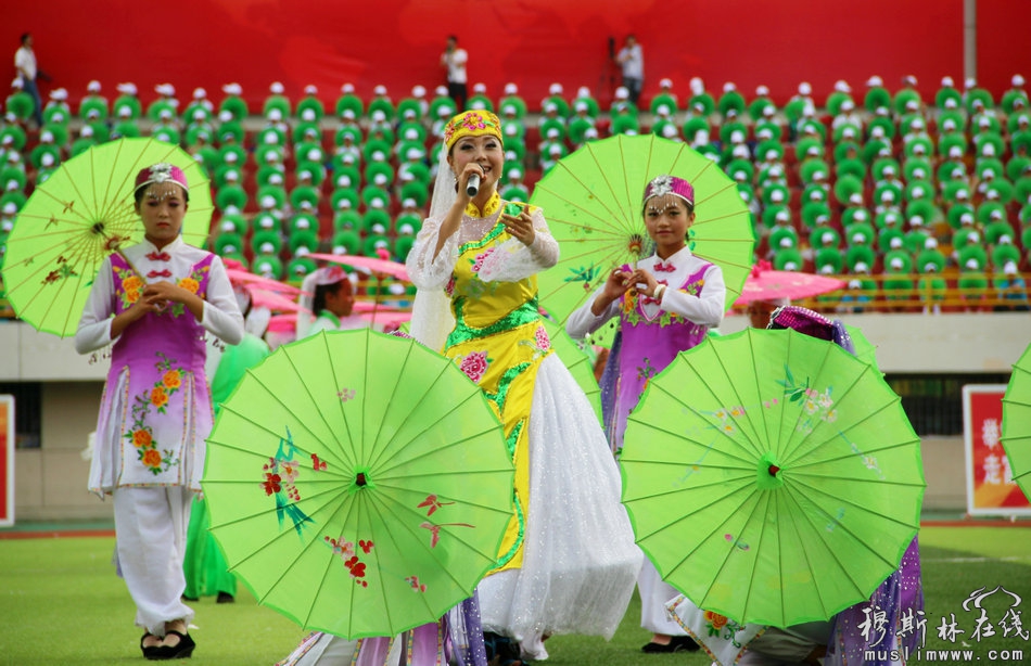 张家川回族自治县成立60周年庆祝大会隆重举行（高清组图）