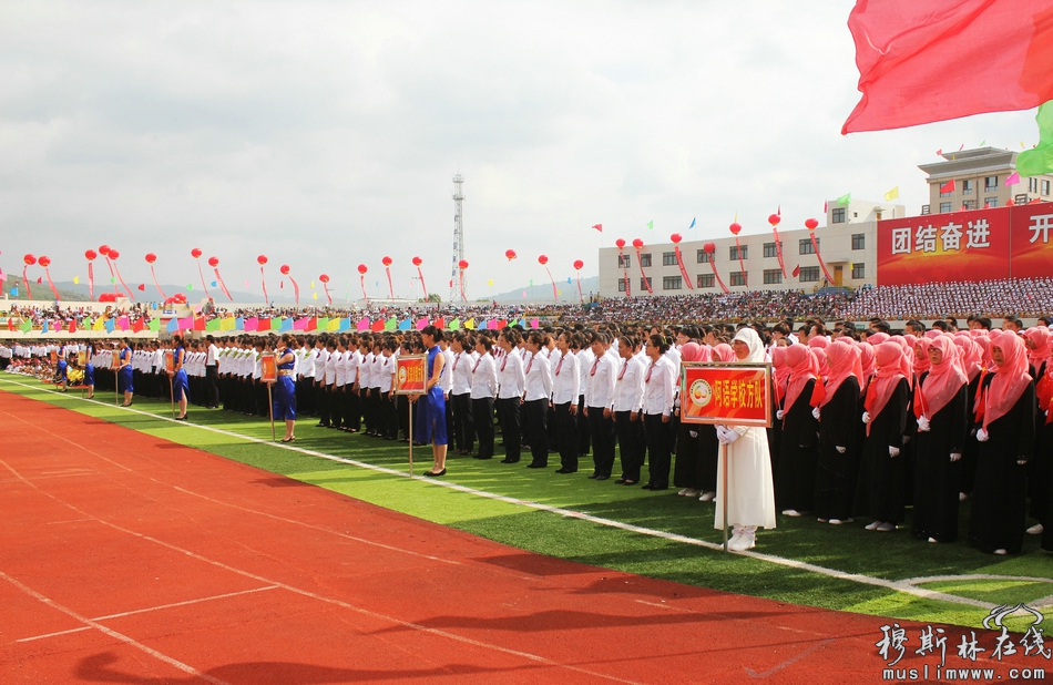 张家川回族自治县成立60周年庆祝大会隆重举行（高清组图）