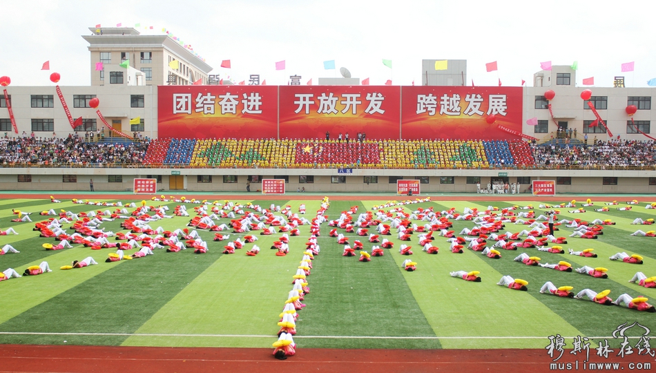 张家川回族自治县成立60周年庆祝大会隆重举行（高清组图）