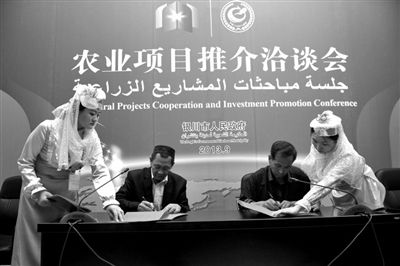 中国（银川）国际穆斯林企业家峰会启幕