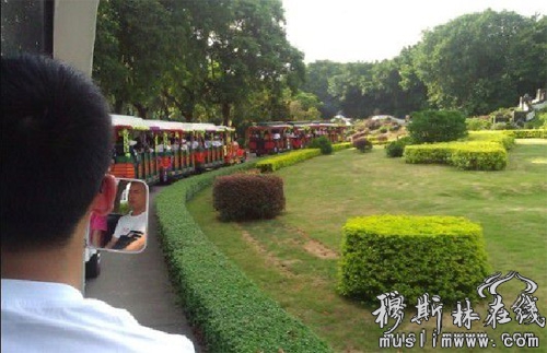 深圳举办外来少数民族代表贺中秋迎国庆活动 ——穆斯林代表备受注目 