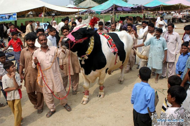 10月4日在孟加拉达卡 Kamlapur火车站人们排队买火车票 回家迎接Eid-ul-Adha宰牲节节日