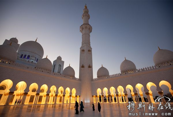 全世界第八大的清真寺---阿联酋阿布扎比大清真寺。