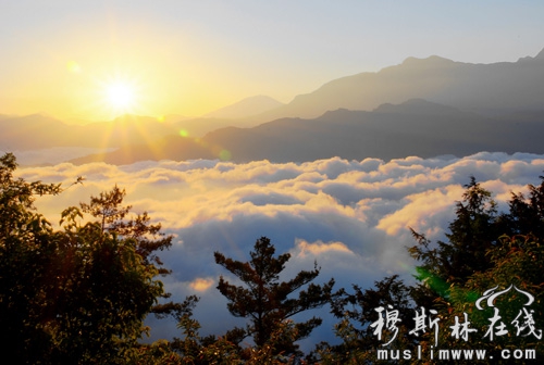 在阿里山观日出