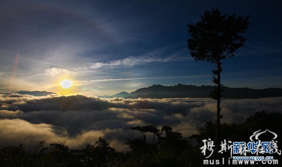 在阿里山观日出