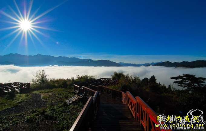 在阿里山观日出