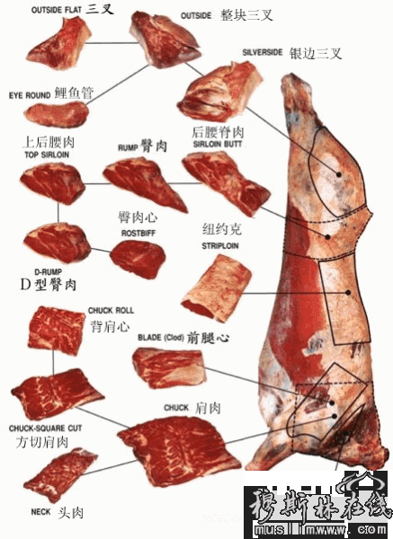 清真牛羊肉及牛副产品的多种加工生产企业.__兰州伊洁清真肉食品有限公司