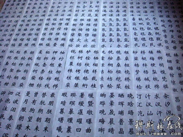 穆斯林书法家李志勇美术字作品进入国家字库