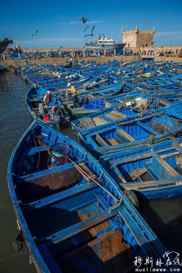 　　这是12月18日在摩洛哥索维拉港口拍摄的蓝色渔船。新华社记者刘大伟摄