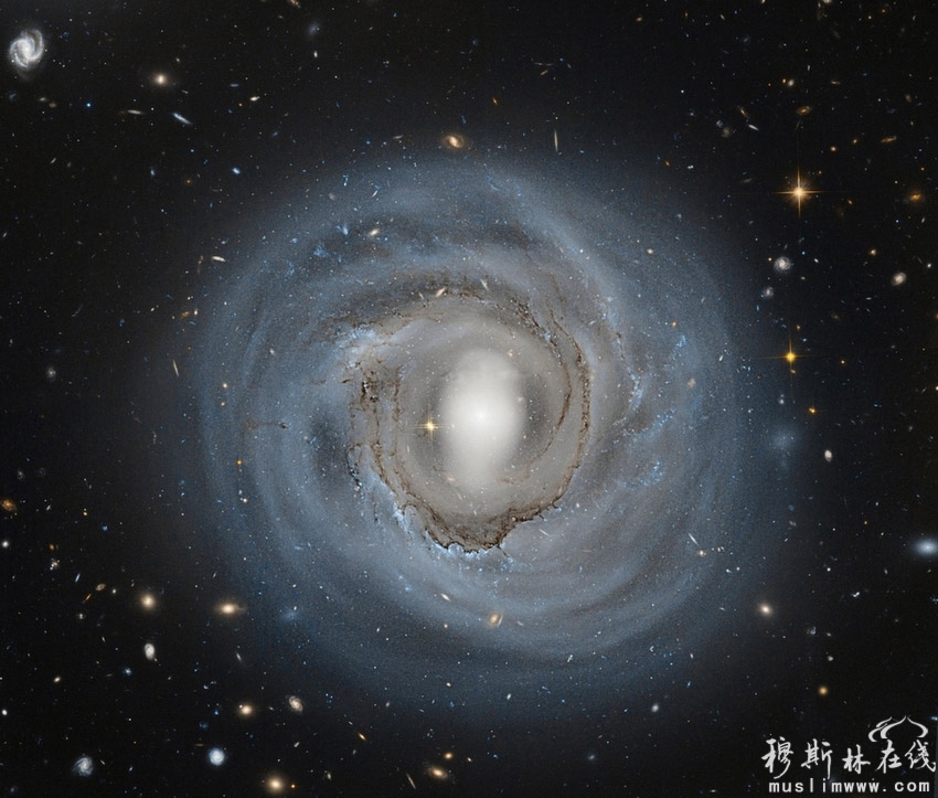 螺旋星系4921：螺旋星系4921距离地球大约3.2亿光年，因其较低的造星率与较暗的表面亮度被俗称作“苍白星系”。哈勃太空望远镜拍摄的这张照片中，在正中间可看到一个明亮的星系核，在它周边围着众多蓝色的新生星团。