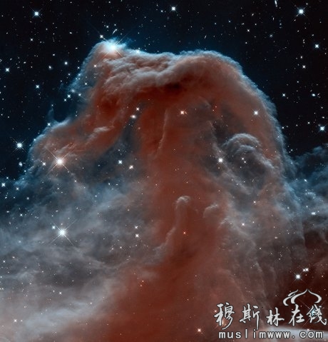 马头星云：哈勃太空望远镜拍下了这一叹为观止的影像。