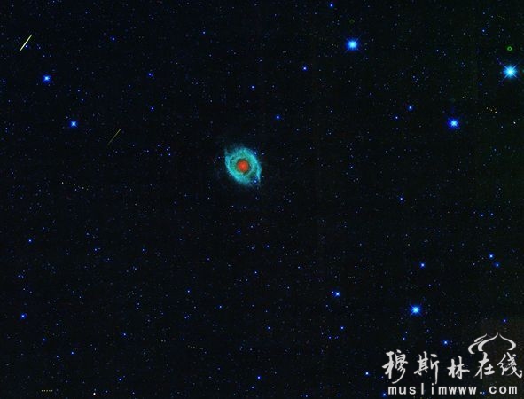 小行星飞掠临终恒星：小行星呼啸着掠过一颗濒临灭亡的恒星，这精彩的一幕被美国宇航局的广角红外探测航天器记录下来。当变热的气体和尘埃脱离这颗恒星时，它的表面呈蓝色。
