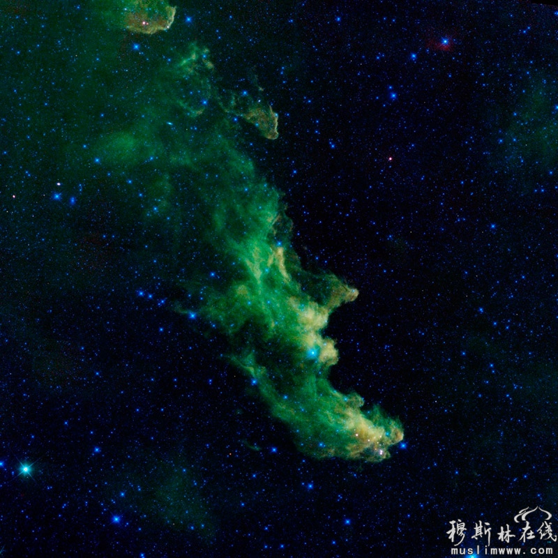 “女巫头”星云：该星云因外形像一个邪恶的女巫正尖叫着冲向星空而得名。此照片是美国宇航局用广角红外探测器（或简称WISE）拍摄的，它捕捉到波涛汹涌般的星云正孕育着新星的诞生。
