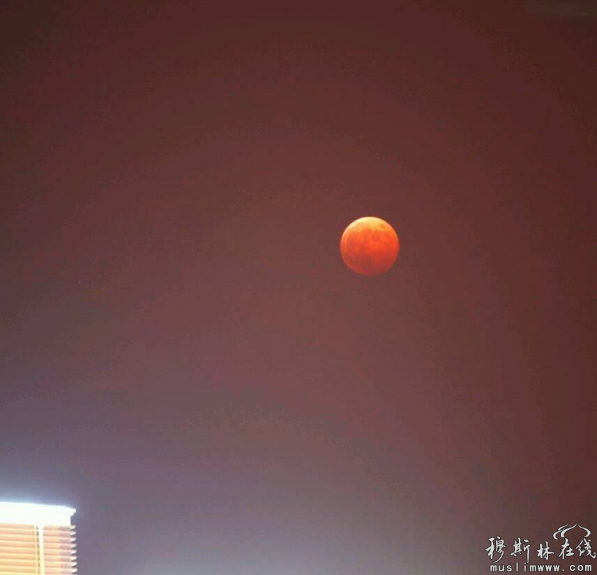 腾讯微博网友Tigerwzq拍摄的苏州上空的“红月亮”。