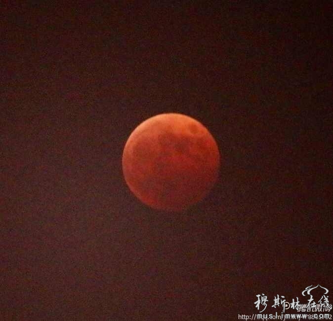 腾讯微博网友jimmy拍摄到的“红月亮”。