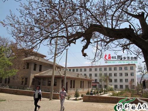 西宁的表情摄青海化隆县甘都马步芳公馆鸳鸯楼.