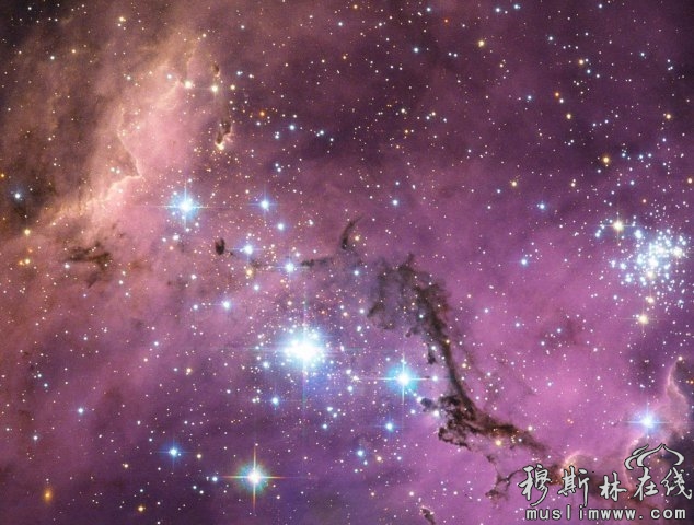 大麦哲伦星系：这一耀眼的卫星星系距离地球大约16.3万光年。