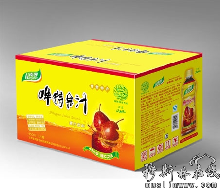 南园啤特果汁甘肃特产果品饮料