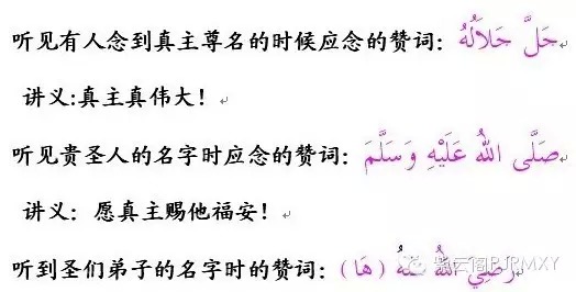 杜阿汇集 - 功课 - 穆斯林在线(muslimwww)