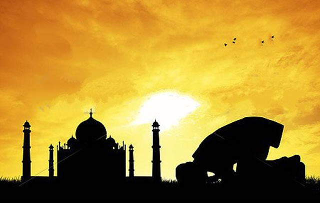 入门 - 穆斯林在线(muslimwww)